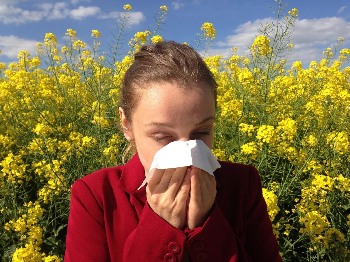 Seasonal Allergies and Heart Rate: Why Your Pulse Spikes in Spring